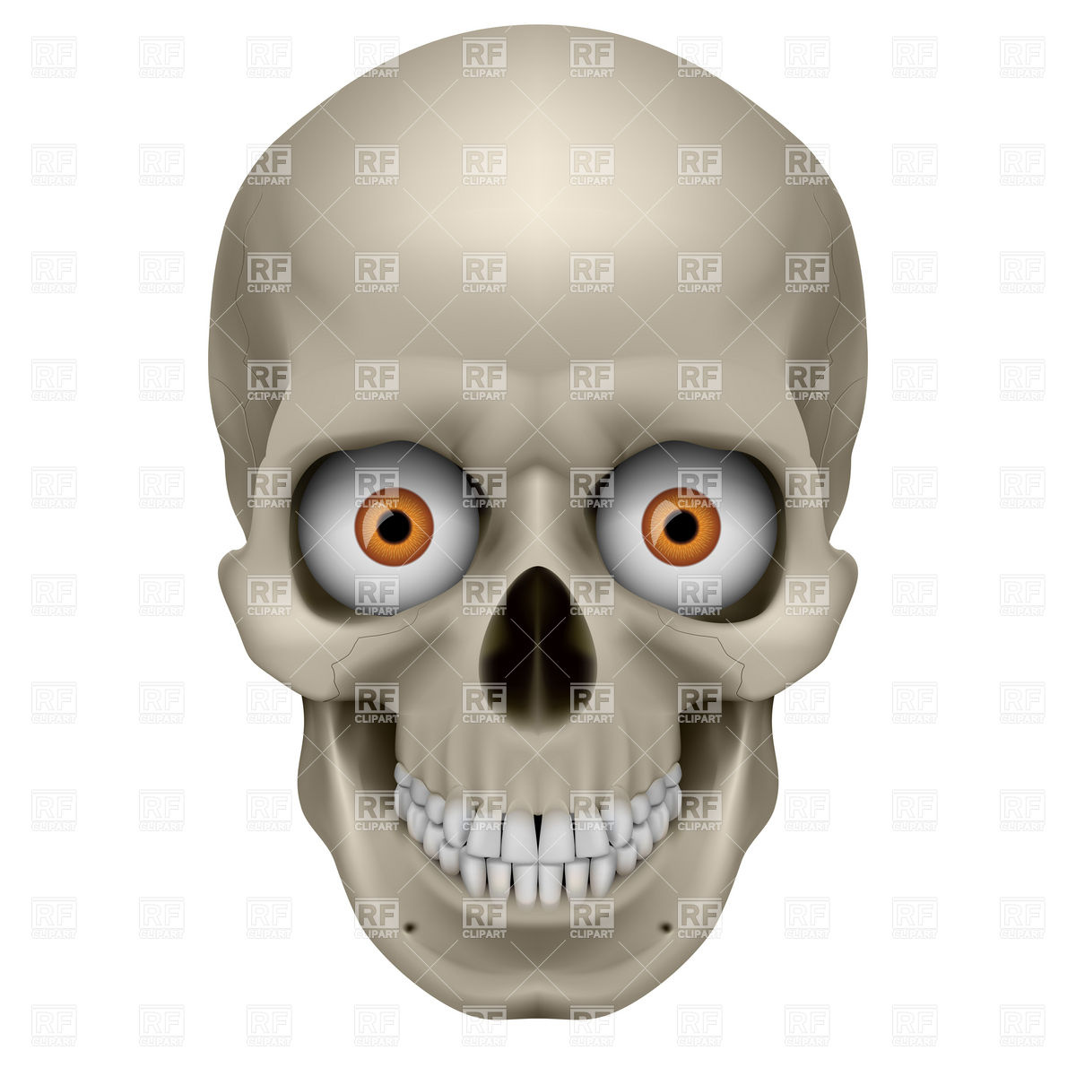 Freaky Human Skull Download Royalty Free Vector Clipart  Eps