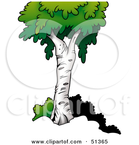 Royalty Free  Rf  Birch Tree Clipart   Illustrations  1