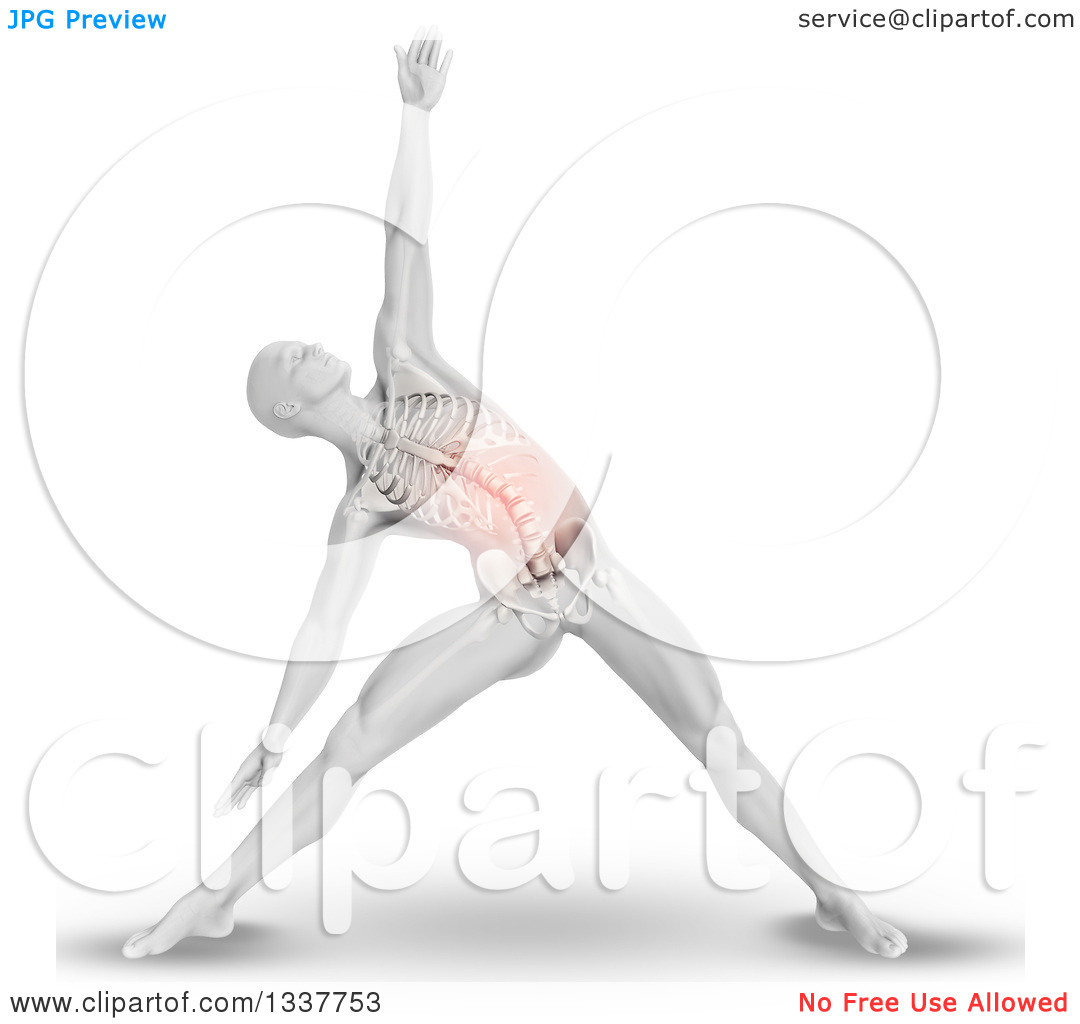 Anatomical Man Stretching In A Yoga Pose With Visible Torso Skeleton
