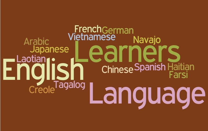 Describe The Good Language Learner According To The Following