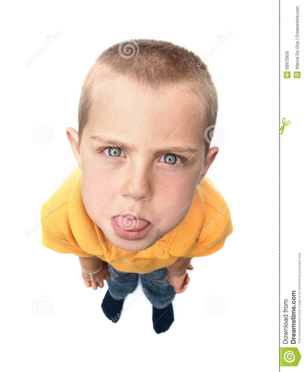 Silly Boy Royalty Free Stock Image   Image  28973926