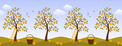 Ladder Apple Orchard Stock Vectors Illustrations   Clipart