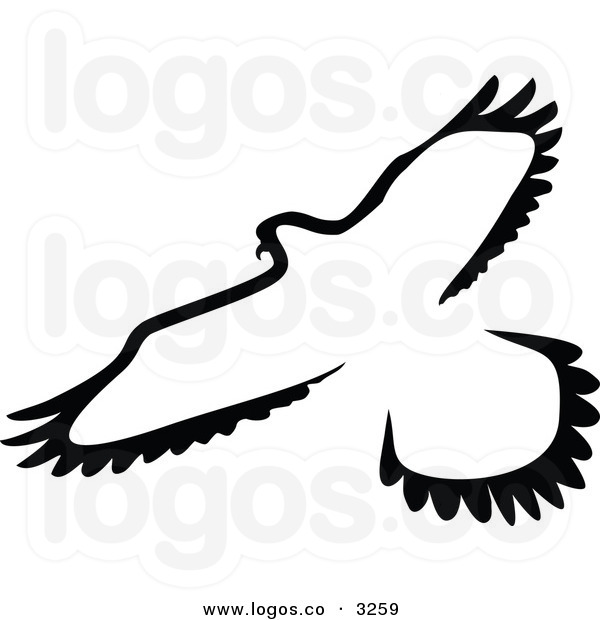 Hawk Clipart Black And White Royalty Free Vector Of A Black And White