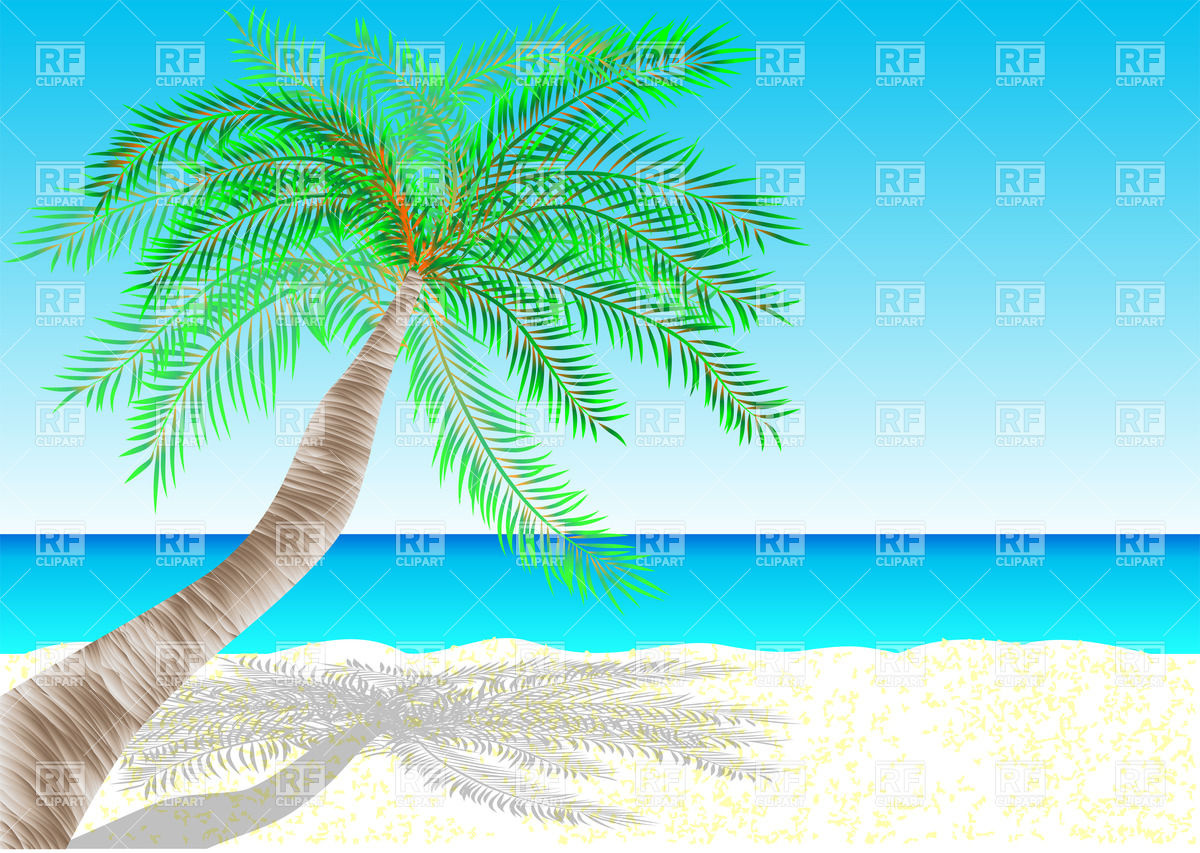 Tropical Beach   Palm Tree And Sea 28032 Travel Download Royalty