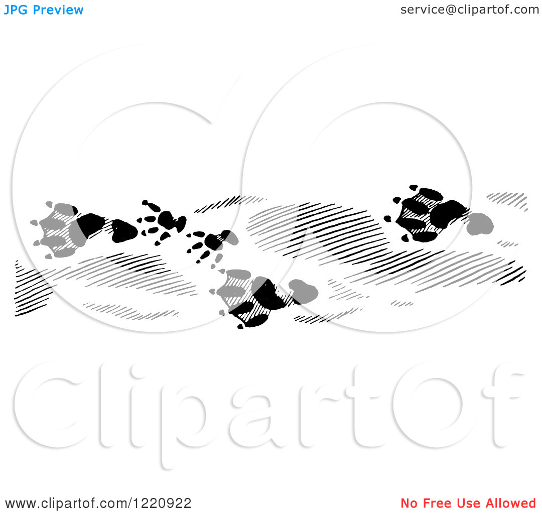 Clipart Of Black And White Beaver Tracks   Royalty Free Vector