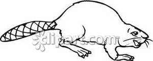 Happy Black And White Beaver   Royalty Free Clipart Picture
