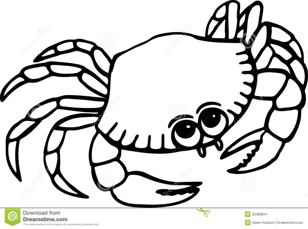 Hermit Crab Clipart Black And White Beach Crab Simple Black White Line