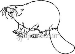 Smiling Black And White Beaver   Royalty Free Clipart Picture