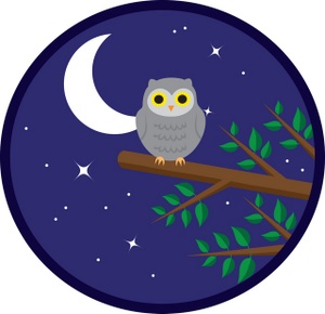 Illustration Of An Owl Sitting On A Tree Branch At Night Clipart