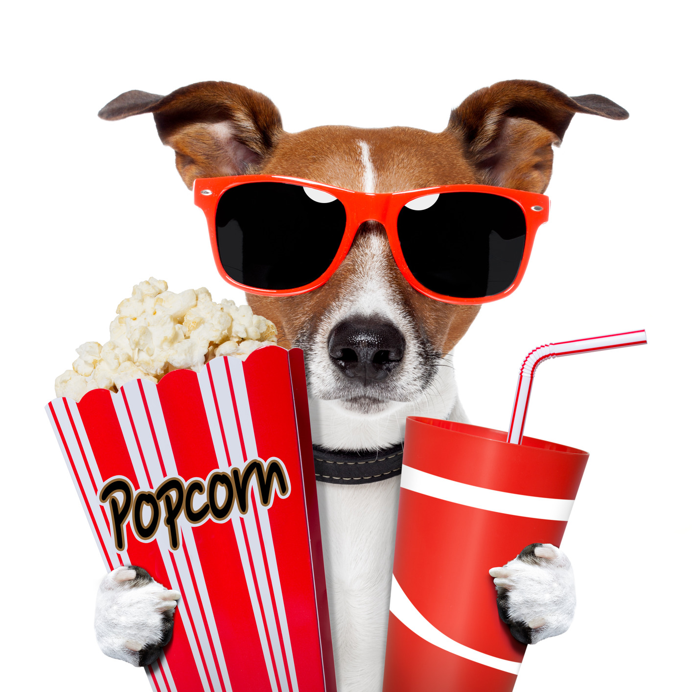 Movie Night Clipart   Clipart Panda   Free Clipart Images