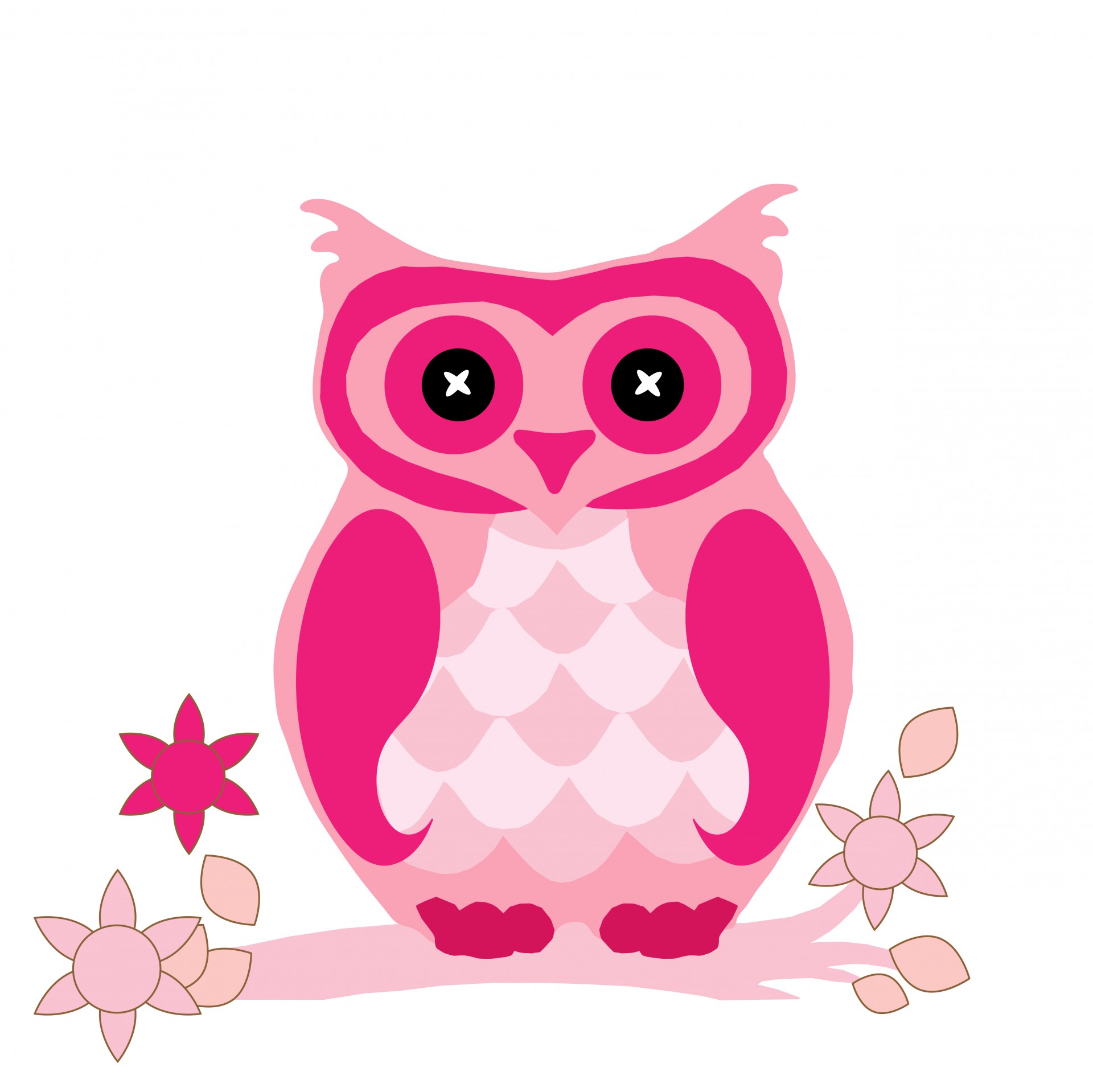 Owl Clipart Cute Pink Free Stock Photo Hd   Public Domain Pictures