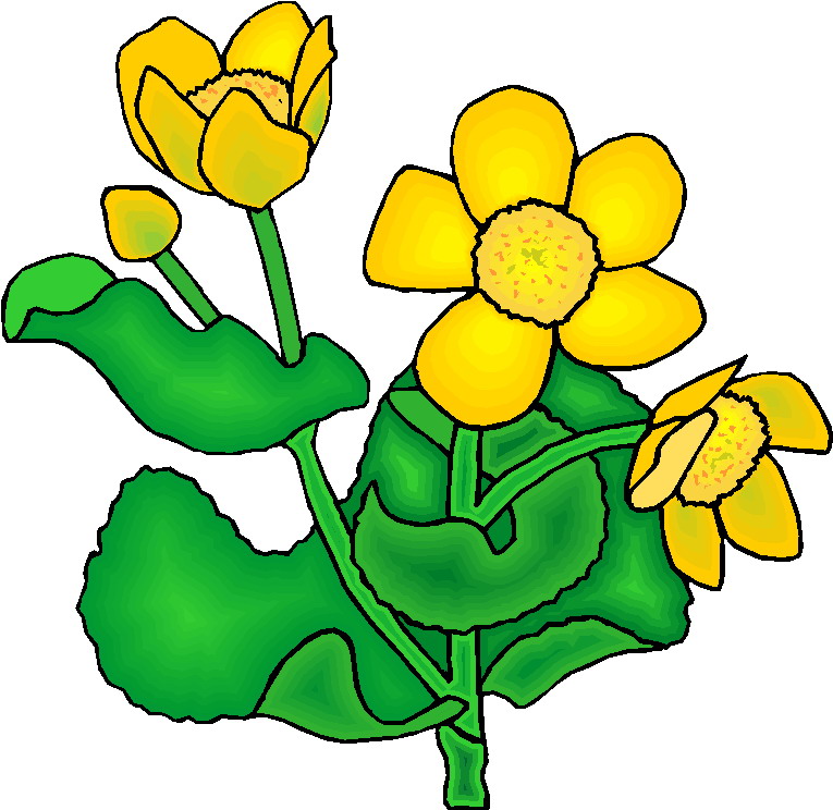 Plant Clipart Gallery3
