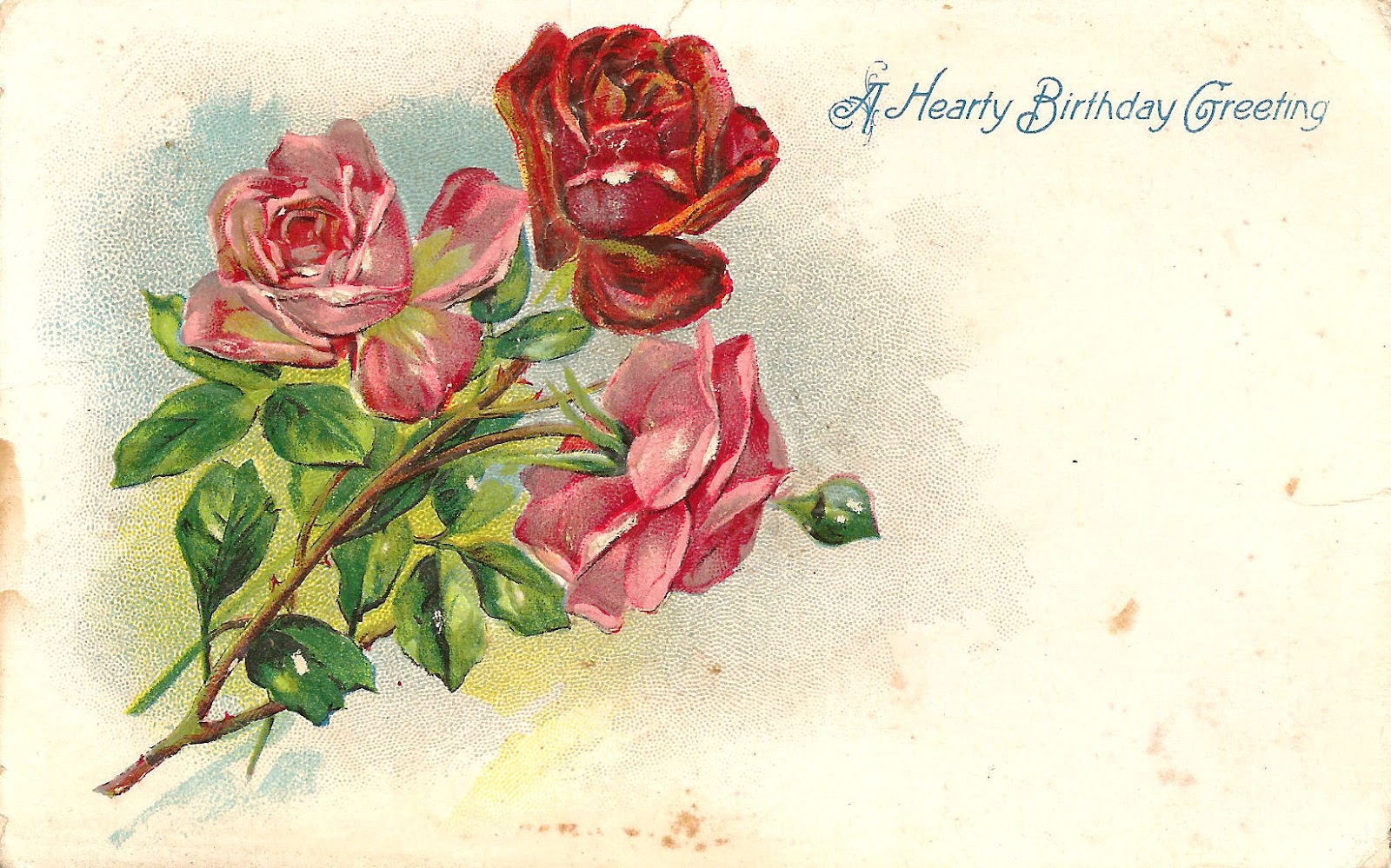 Free Flower Clip Art  3 Red And Pink Rose Graphics On Vintage Birthday