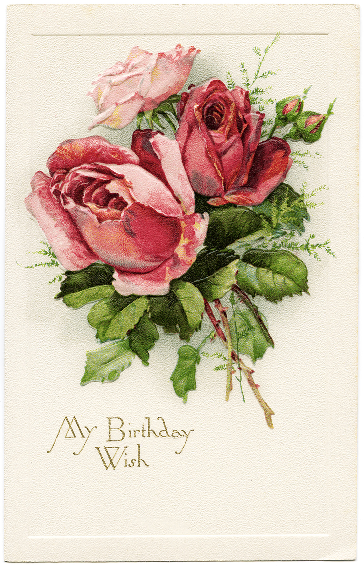 Free Vintage Image My Birthday Wish Roses Postcard   Old Design Shop