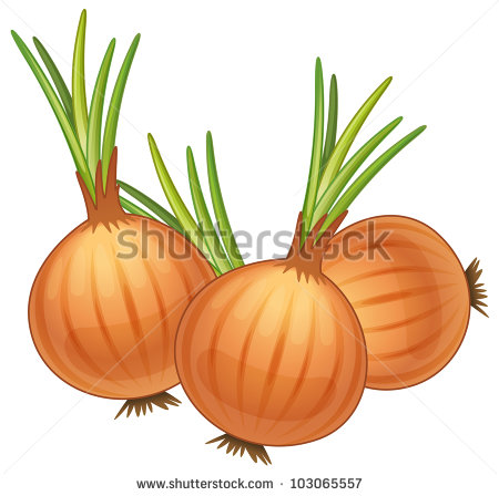 Illustration Of Some Brown Onions   Eps Vector Format Also Available