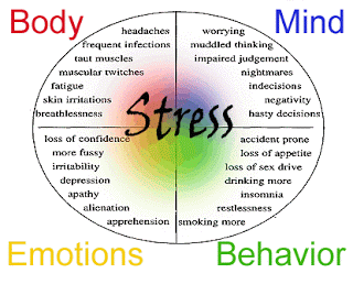 Powys Mental Health Blog  National Stress Awareness Day