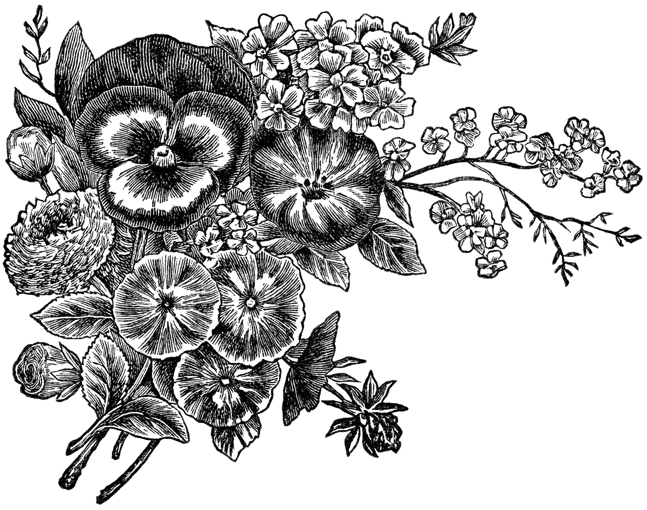 Black And White Flowers Clipart Black And White Flowers Clipart