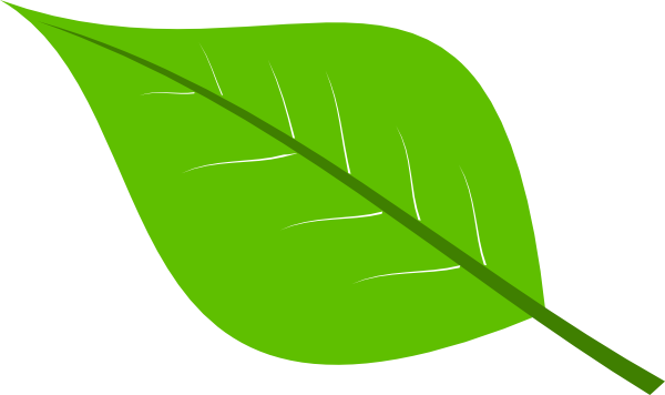Download Large Green Leaves Clipart