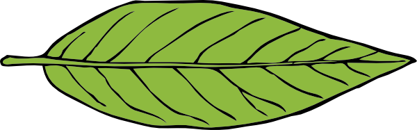 Free To Use   Public Domain Leaves Clip Art
