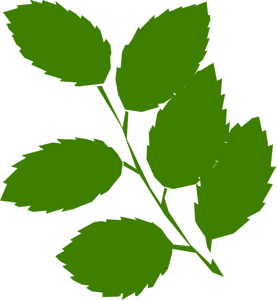 Green Leaves Clip Art At Clker Com   Vector Clip Art Online Royalty