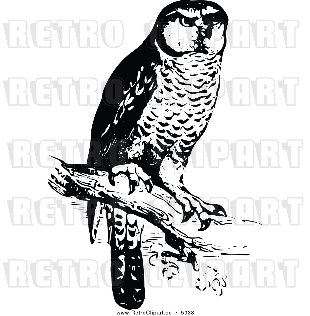 Clipart Of A Retro Black And White Perched Owl By Prawny Vintage