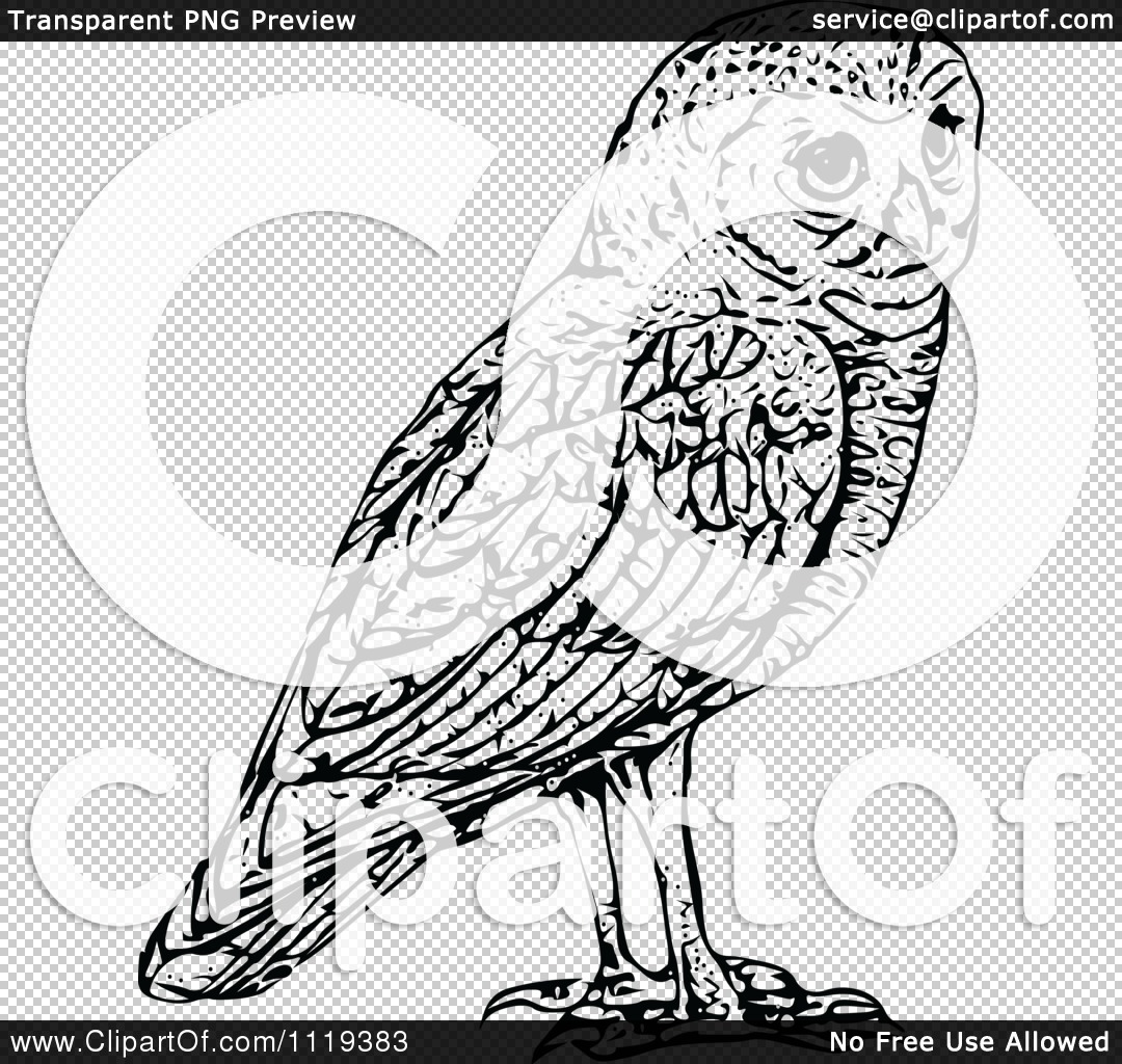 Clipart Of A Retro Vintage Black And White Owl   Royalty Free Vector