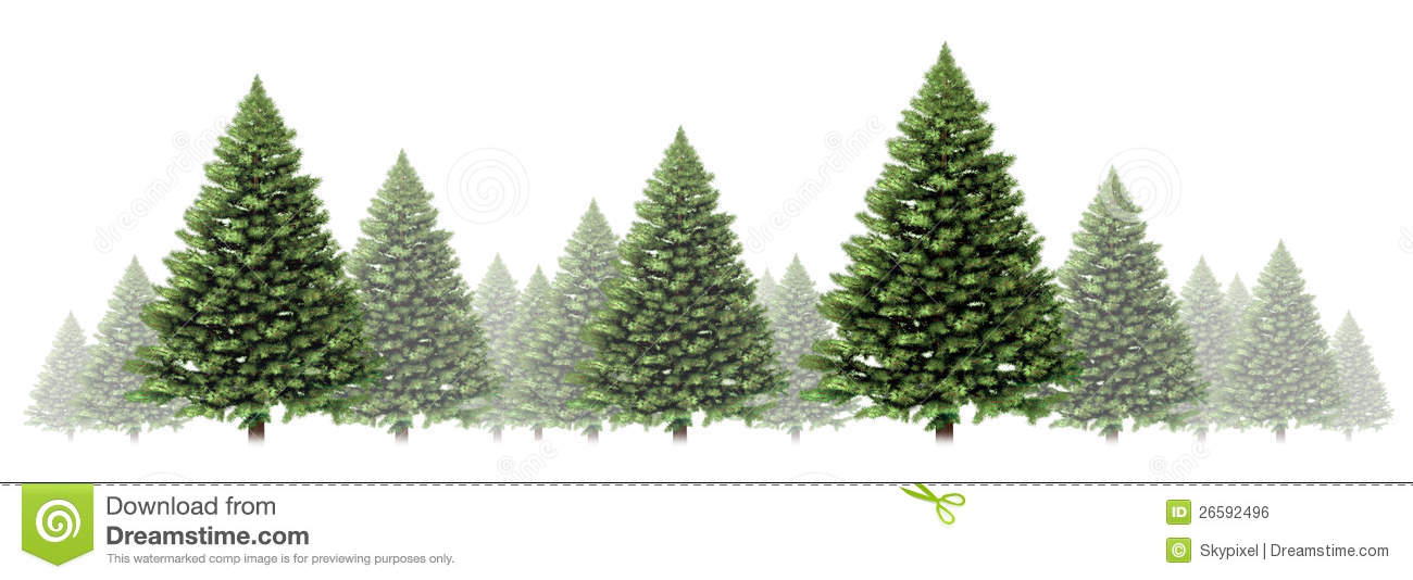 Pine Tree Winter Border Design With A Group Of Green Christmas Trees