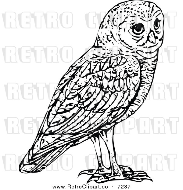 Vector Clipart Of A Retro Black And White Owl By Prawny Vintage