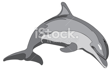 Bottlenose Dolphin Clipart Stock Illustration 2191507 Bottlenose