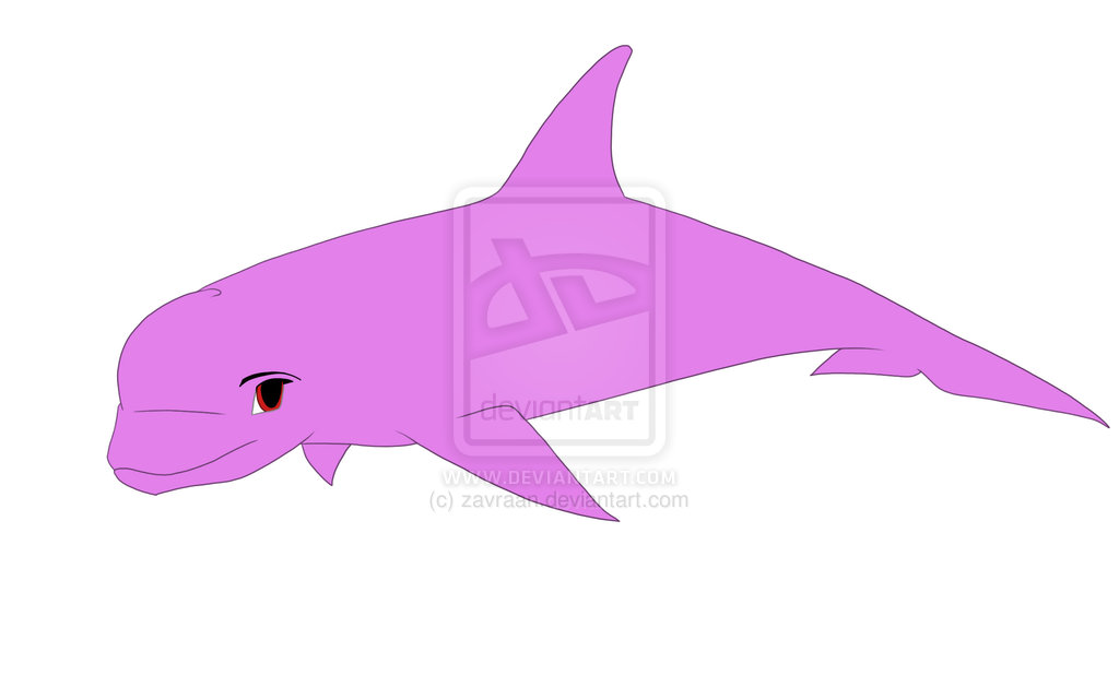 Bottlenose Dolphin Drawing   Clipart Panda   Free Clipart Images