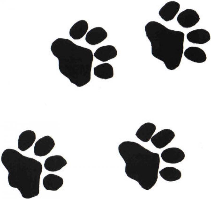 There Is 39 Panther Paw Free Cliparts All Used For Free