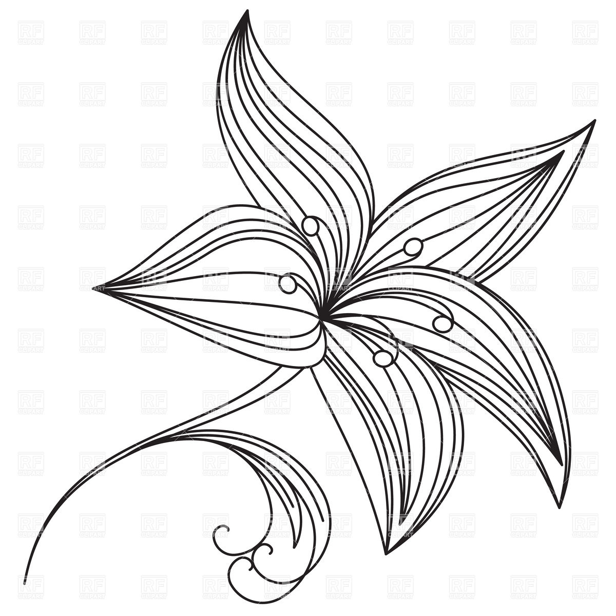 Flower Of Lily Outline 16294 Download Royalty Free Vector Clipart