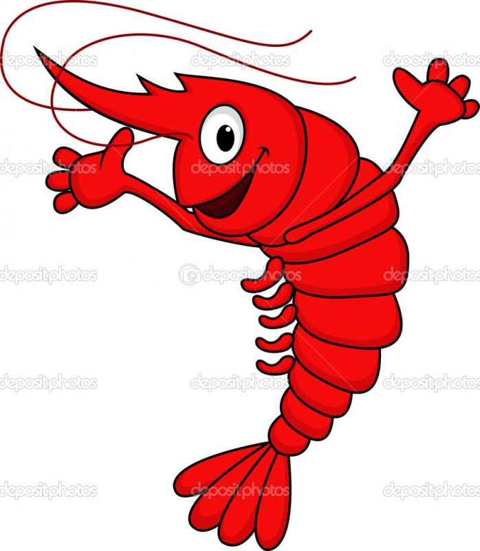 Cartoon Shrimp