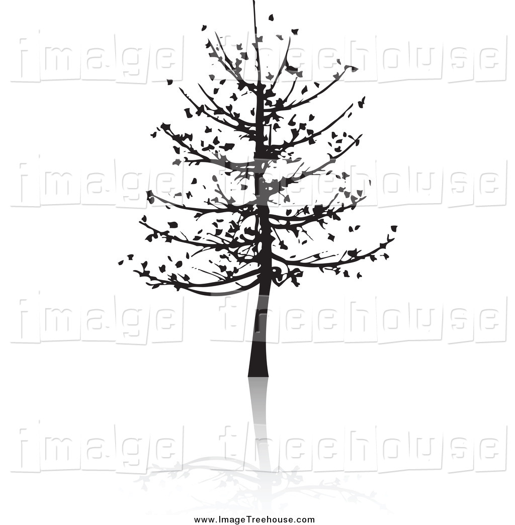 Bare Tree Silhouette And Reflection Tree Clip Art Kj Pargeter