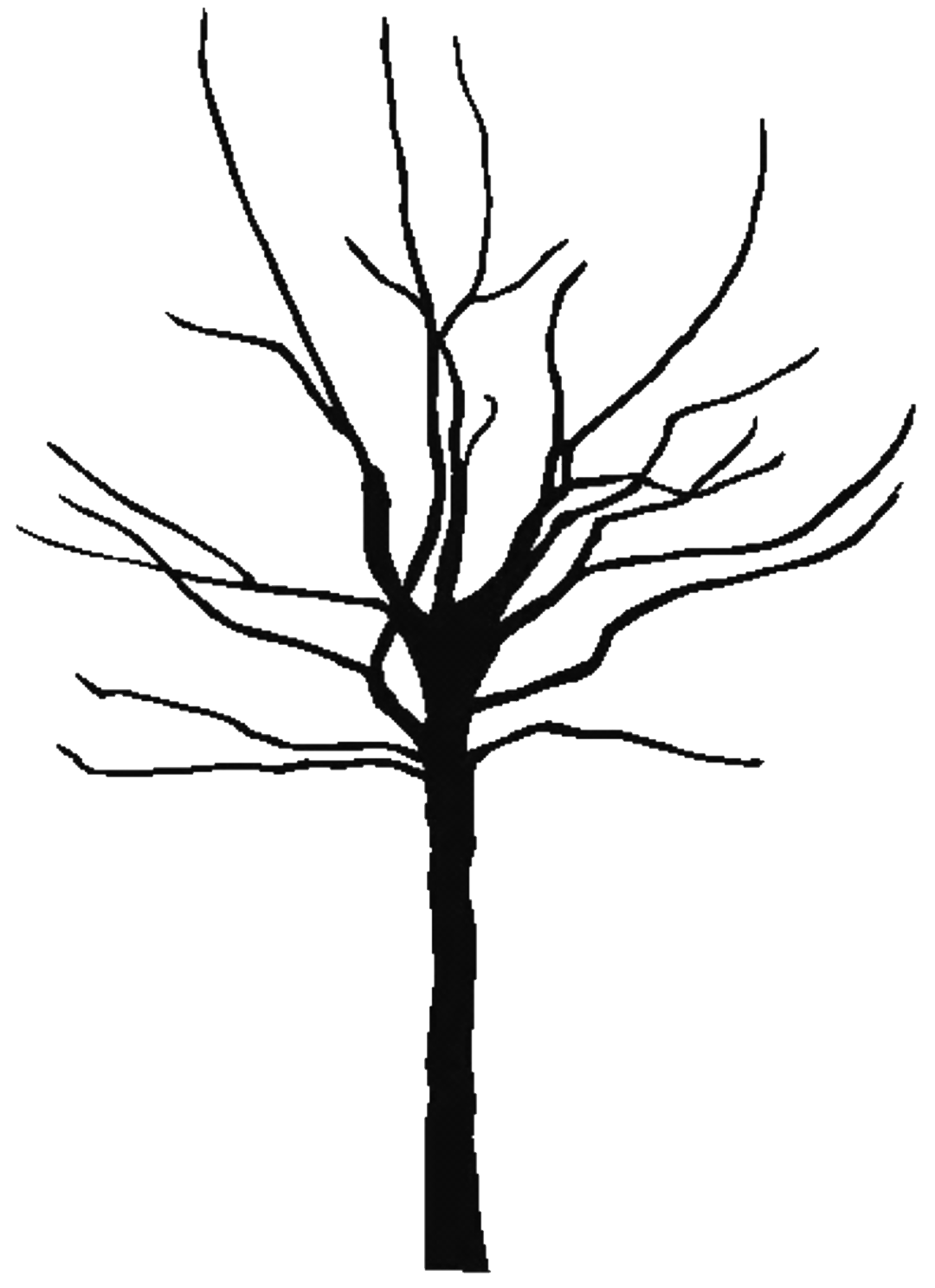 Bare Tree Silhouette   Clipart Best