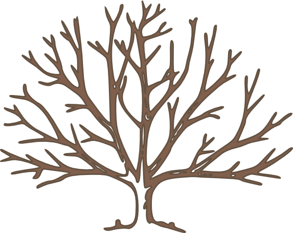 Bare Tree Silhouette   Clipart Best