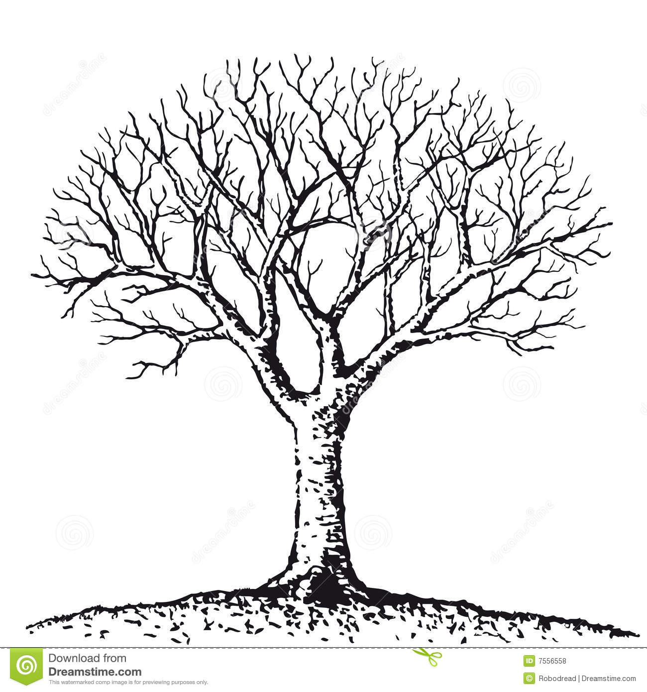 Bare Tree  Vector  Royalty Free Stock Photos   Image  7556558