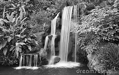 Black And White Waterfall Stock Photos   Image  7164443