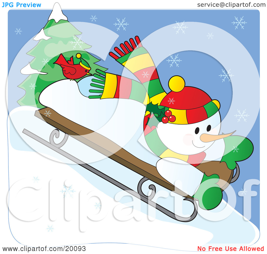 On A Sled On A Snowy Winter Day With A Red Cardinal Bird On His Foot