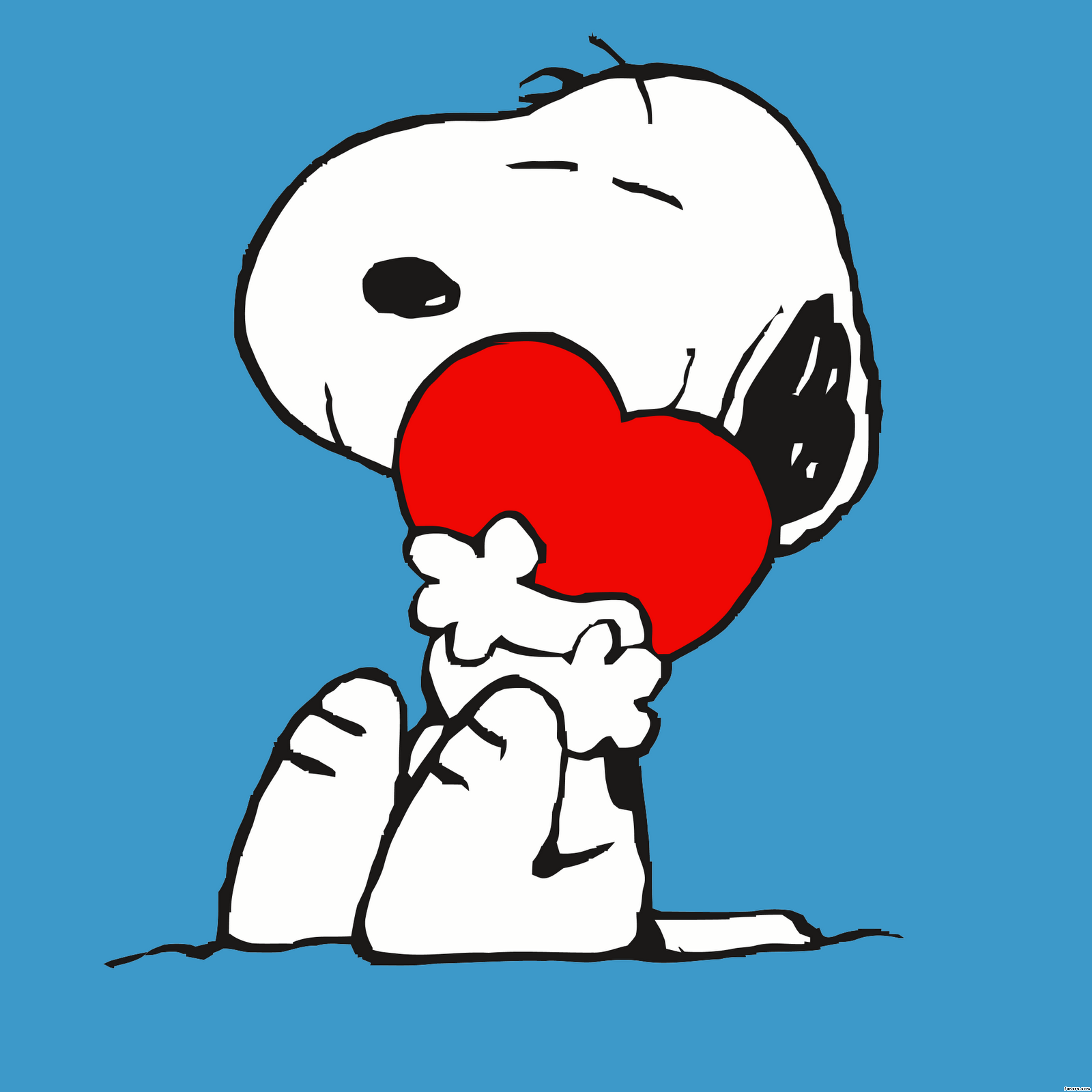 Snoopy Snoopy And Heart