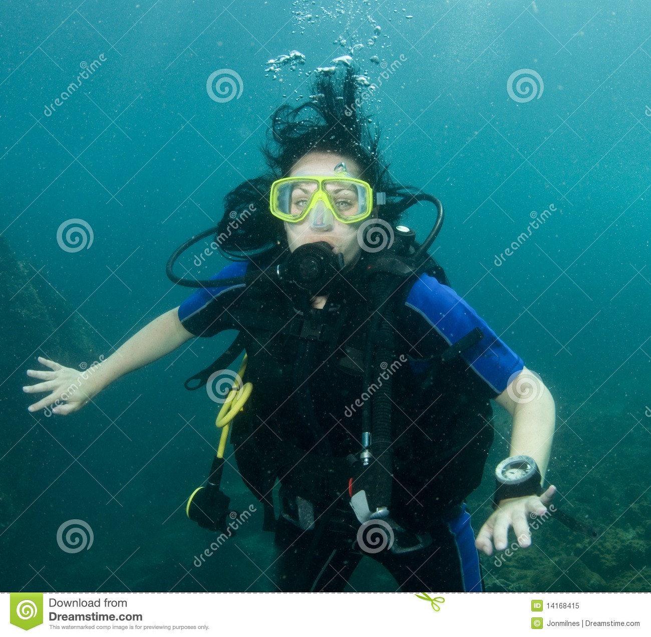 Female Scuba Diver Royalty Free Stock Photo   Image  14168415