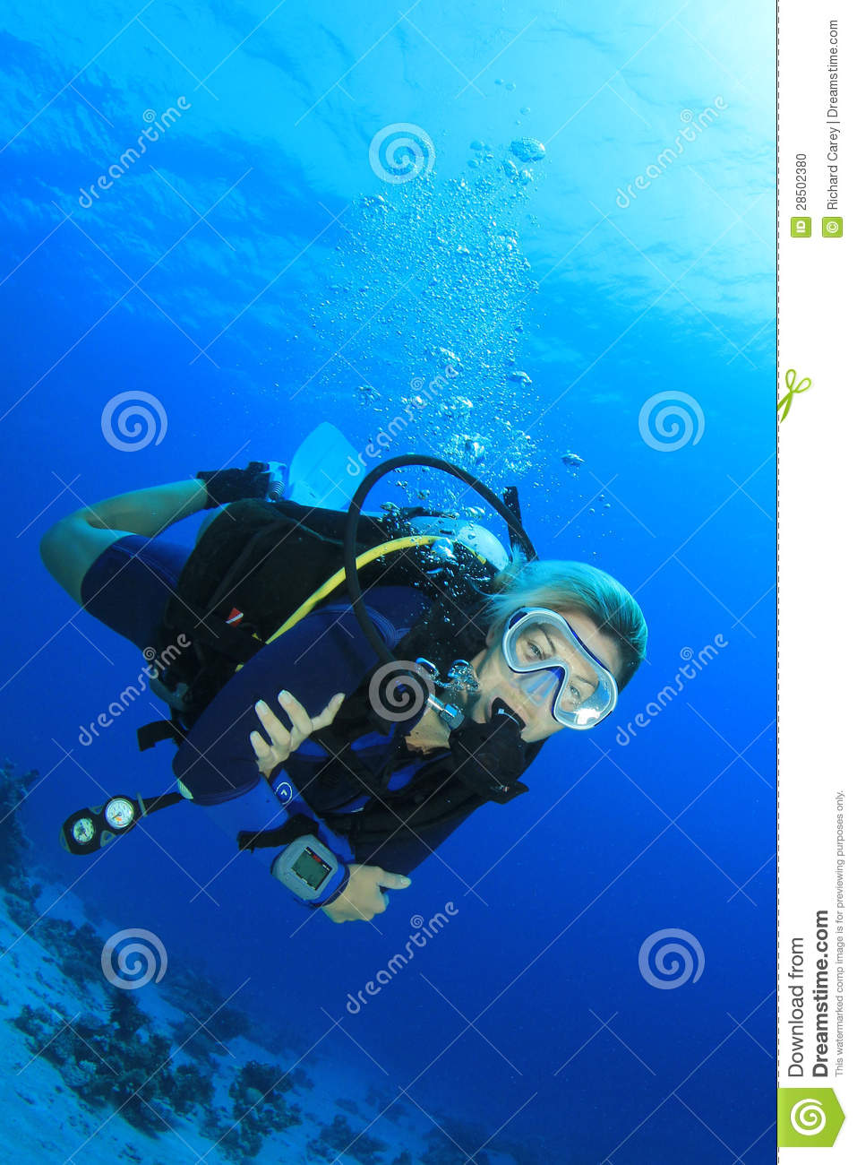Female Scuba Diver Stock Photo   Image  28502380