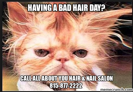 Cat Bad Hair Day