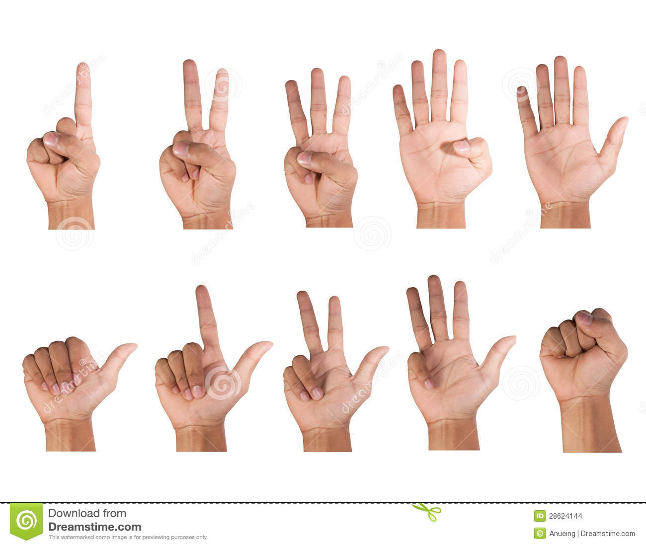 Fingers Counting Clipart Fingers Count 28624144 Jpg