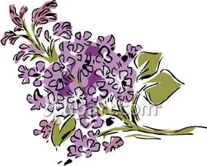 Lilac Branch   Royalty Free Clipart Picture