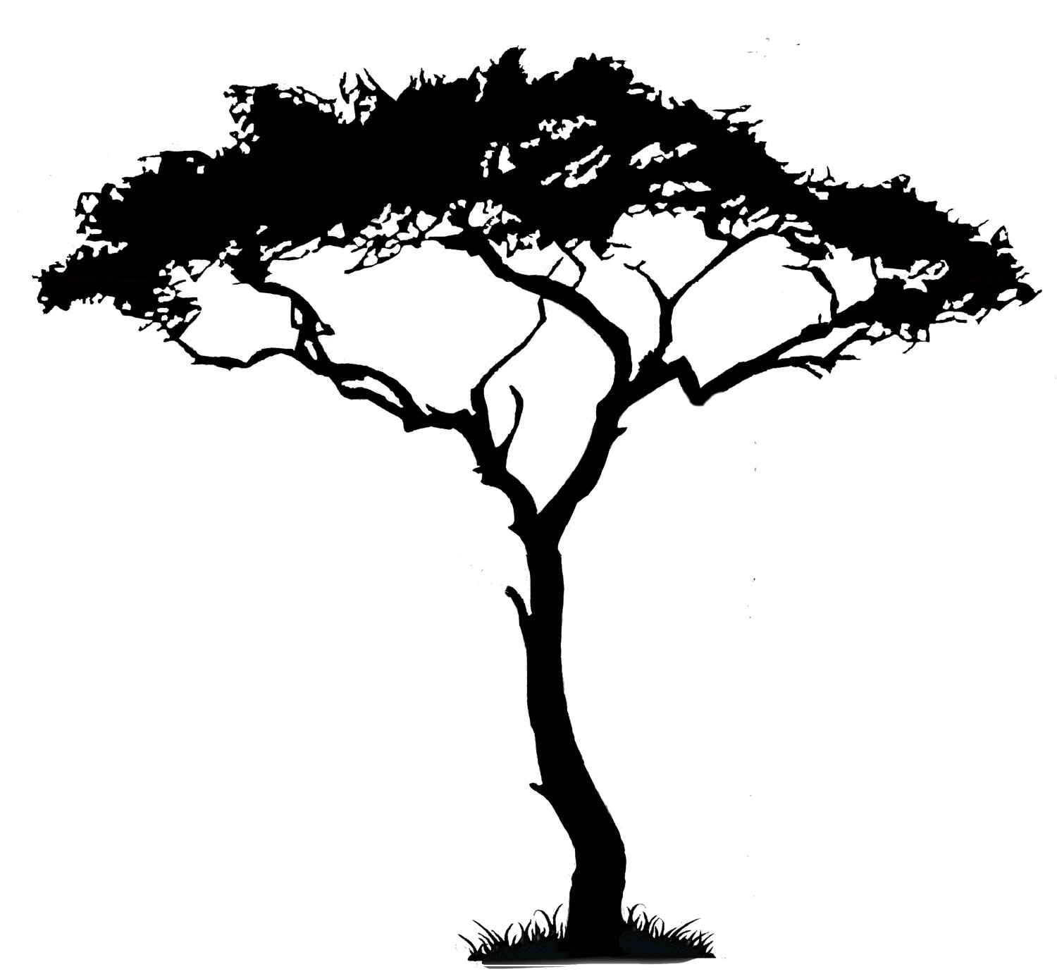 12 Acacia Tree Silhouette Clipart Free Cliparts That You Can Download