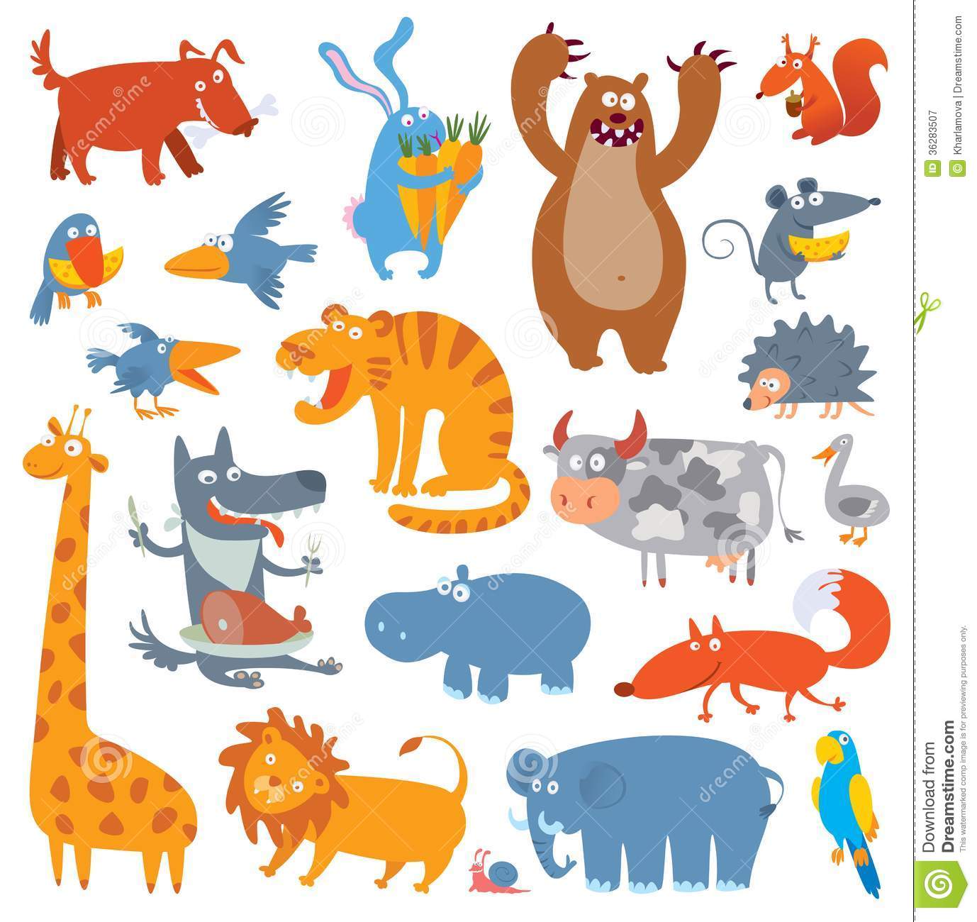Cute Zoo Animals  Vector Illustration  Isolated On White Background