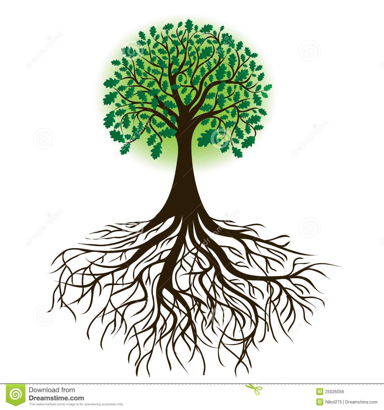 Oak Tree With Roots And Dense Foliage Vector Royalty Free Stock Image