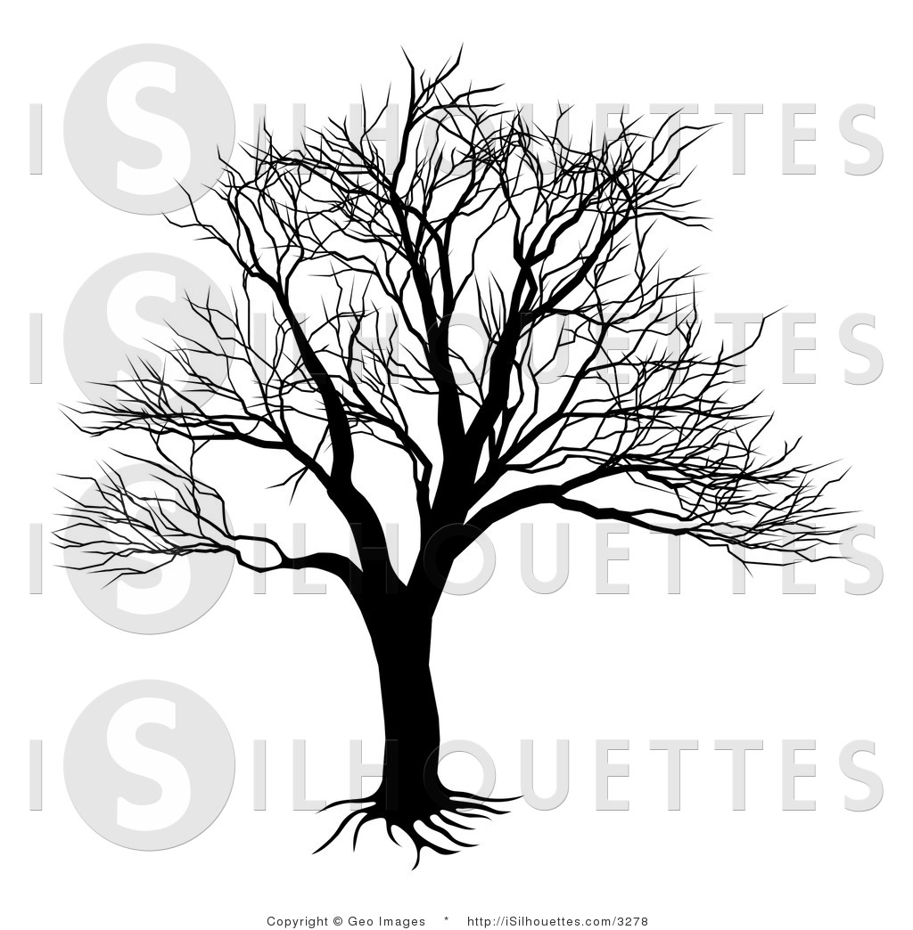 Silhouette Vector Clipart Of A Bare Tree And Roots By Geo Images