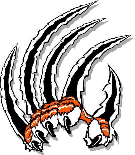 Tiger Claws Mascot Team Sports Decal  Let It Speak For You